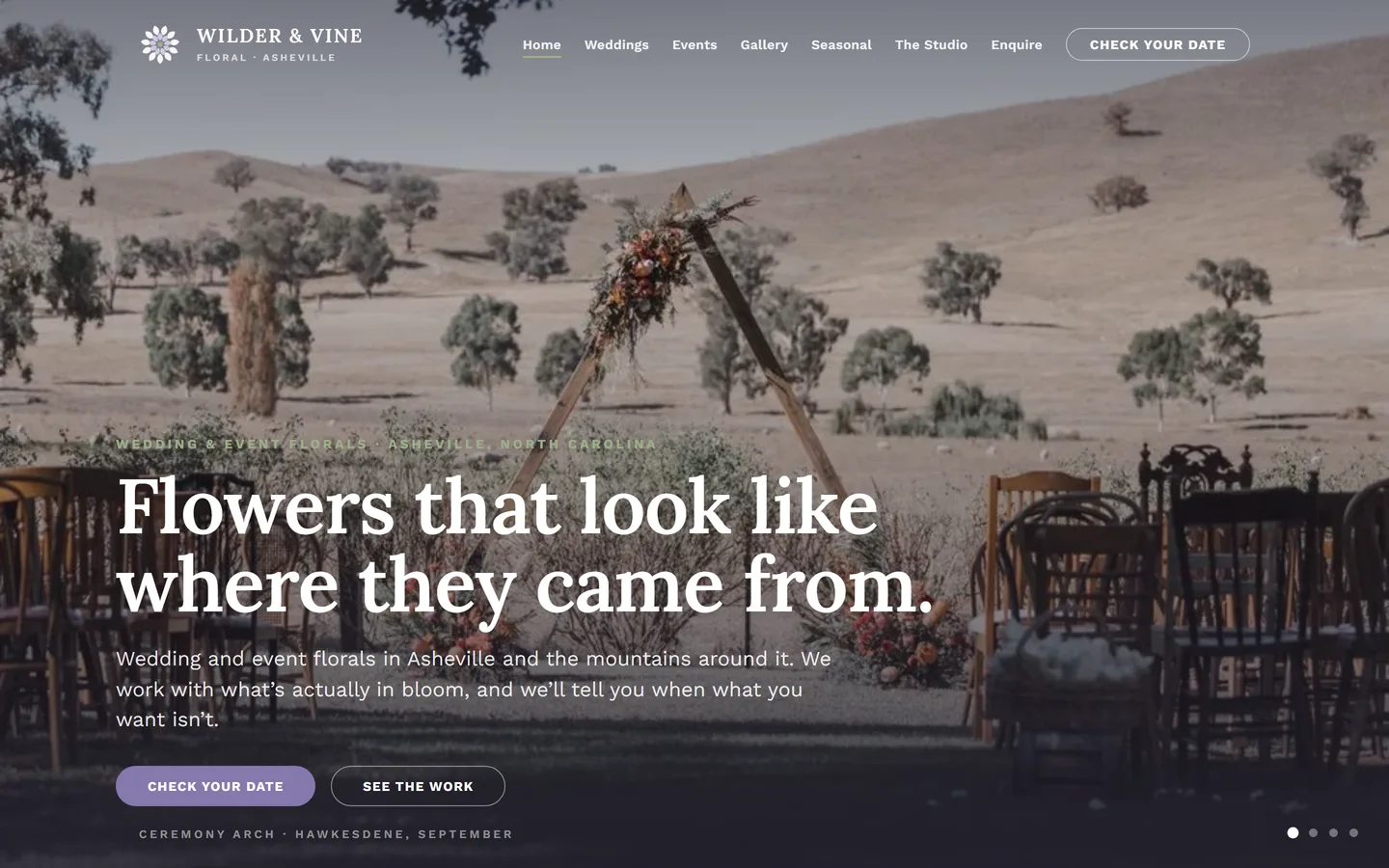 Home page of the Wilder & Vine website